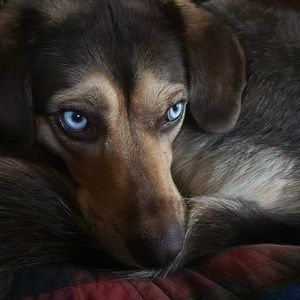 Meet your Posher, Johnathan